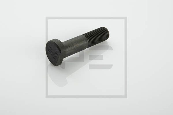 PETERS ENNEPETAL 017.002-00A: Hjulbult