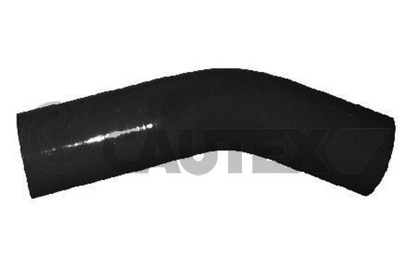 CAUTEX 011423: Õlivoolik