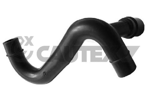 CAUTEX 016079: Õlivoolik
