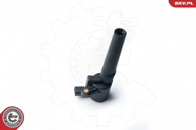 ESEN SKV 03SKV226: Πολλαπλασιαστής 12V, 2πόλων