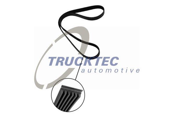 TRUCKTEC AUTOMOTIVE 05.19.073: Courroie Poly-V 1920mm, Nombre de gorges: 8