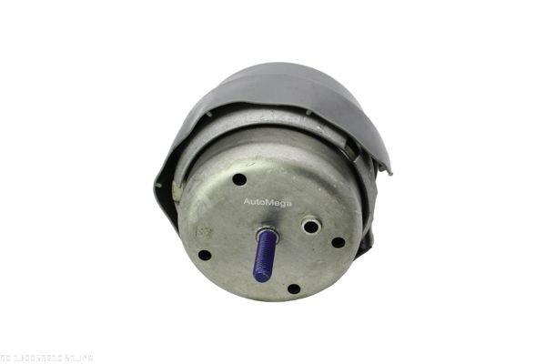 AUTOMEGA 120017220: Piduriketas