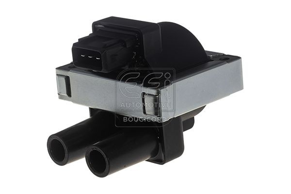EFI AUTOMOTIVE 155015: Süütepool EFI - BOUGICORD