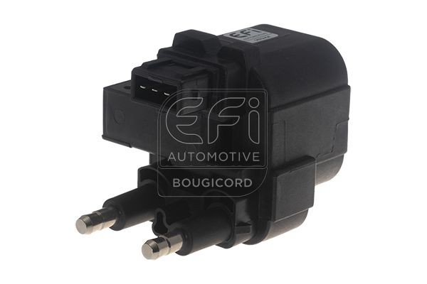 EFI AUTOMOTIVE 155018: Süütepool EFI - BOUGICORD