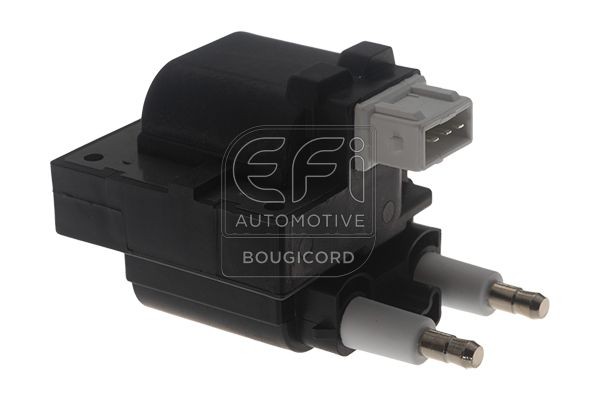 EFI AUTOMOTIVE 155019: Süütepool EFI - BOUGICORD