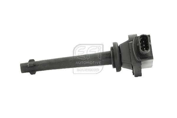 EFI AUTOMOTIVE 155037: Süütepool EFI - BOUGICORD