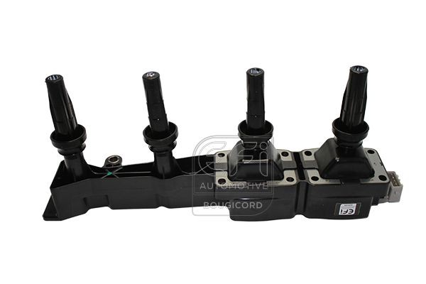 EFI AUTOMOTIVE 155043: Süütepool EFI - BOUGICORD