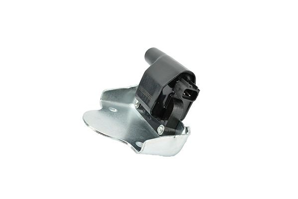 EFI AUTOMOTIVE 155305: Süütepool EFI - BOUGICORD