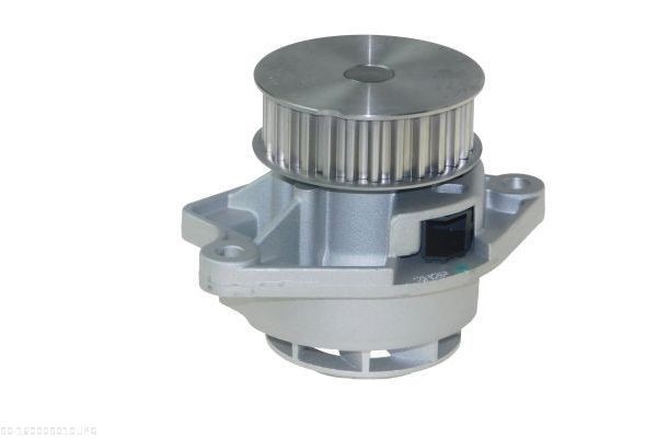 AUTOMEGA 160009010: Ūdenssūknis ar blīvi