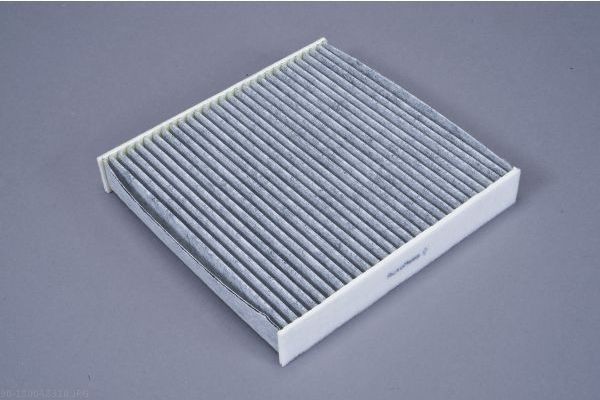 AUTOMEGA 180048310: Filtru, aer habitaclu Filtru carbon activ