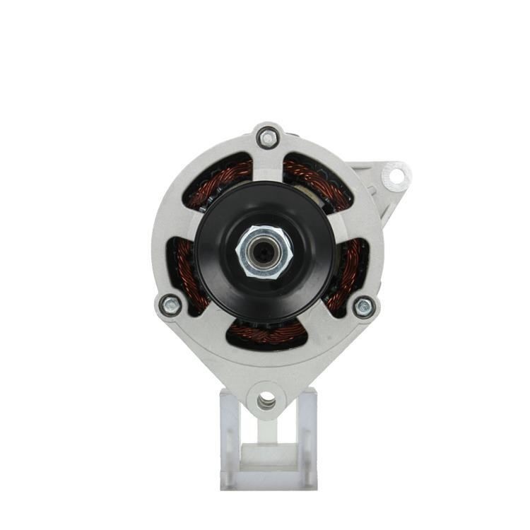 BV PSH 225.006.030.311: Alternator 30A