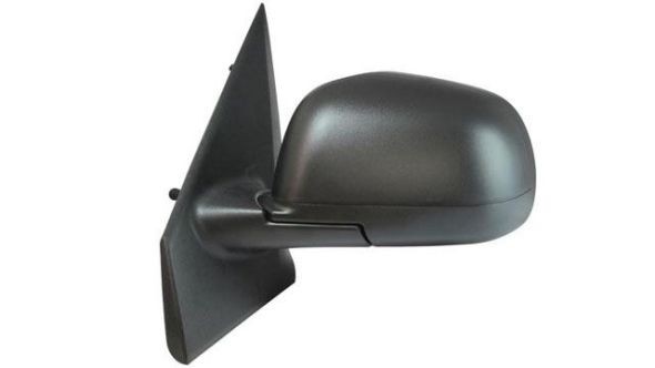 IPARLUX 24389022: Specchietto retrovisore esterno Dx