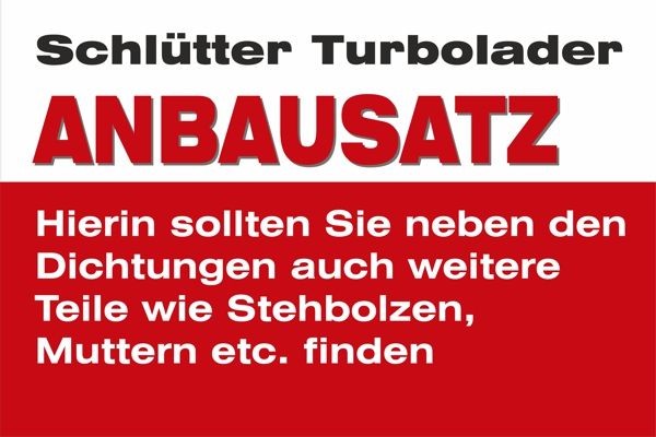 SCHLÜTTER TURBOLADER 253-10330S: Monteringsats, Turbo