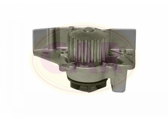 CAR 330236: Pompe à eau