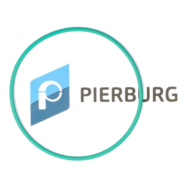 PIERBURG 3.32038.01.0: Pakning, tankmåler