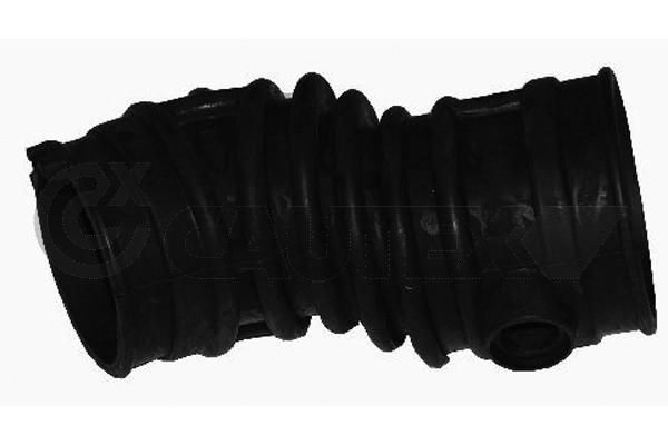 CAUTEX 481068: Õhutoru,õhufilter Õhufiltrikorpus