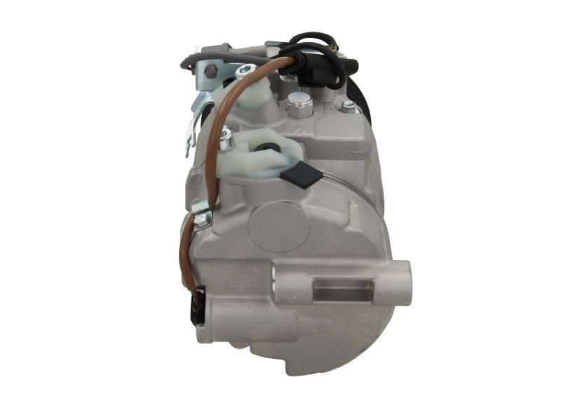 BV PSH 505.012.045.311: Laturi 45A