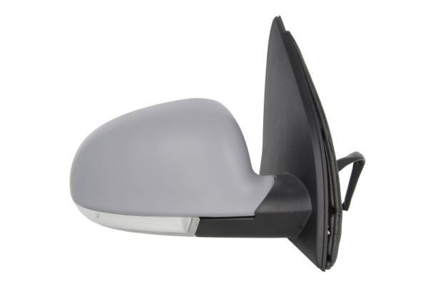 BLIC 5402-01-2002630P: Oglinda exterioara dreapta, electric