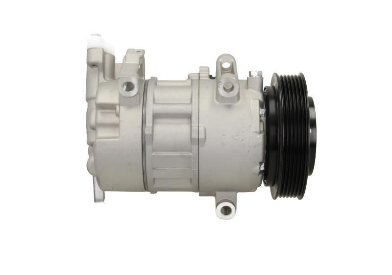 BV PSH 555.516.110.215: Kintamosios srovės generatorius 110A