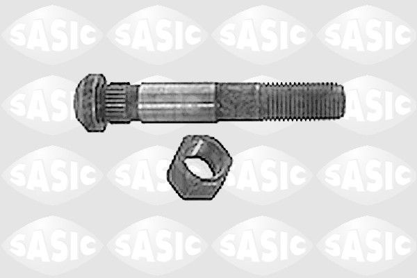 SASIC 6070160: Kepsukruvi