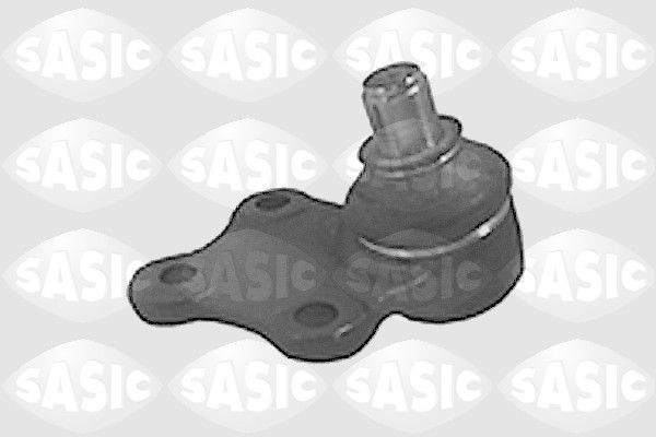 SASIC 6403403: Kande- / juhtliigend Esisild