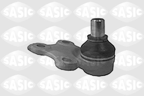 SASIC 6403473: Kande- / juhtliigend Esisild