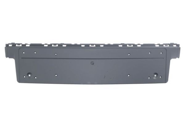 BLIC 6509-01-0076922P: Kennzeichenhalter vorne