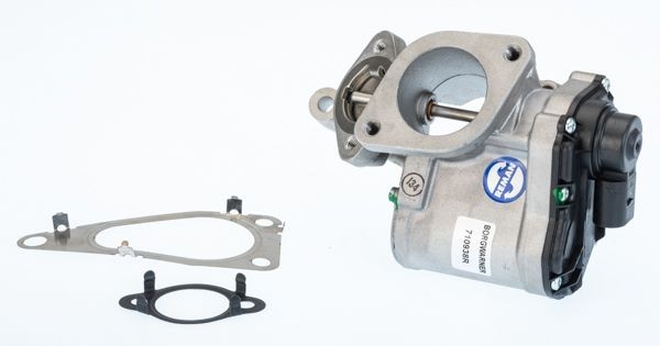 WAHLER 710938R: Supapă EGR cu garnituri
