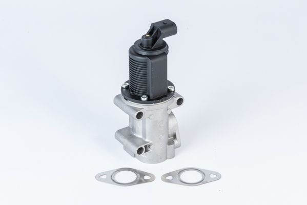 WAHLER 710952R: EGR-klapp koos tihenditega