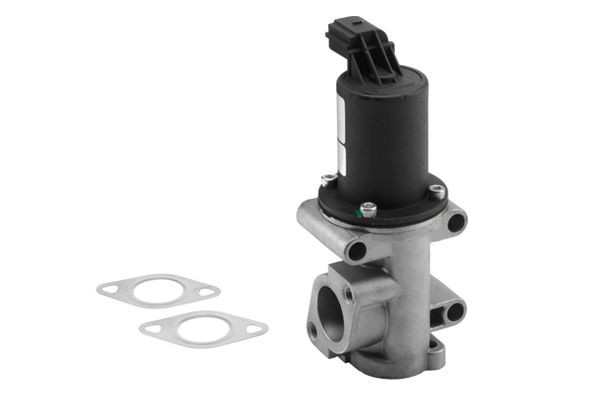 WAHLER 710960R: Supapă EGR cu garnituri