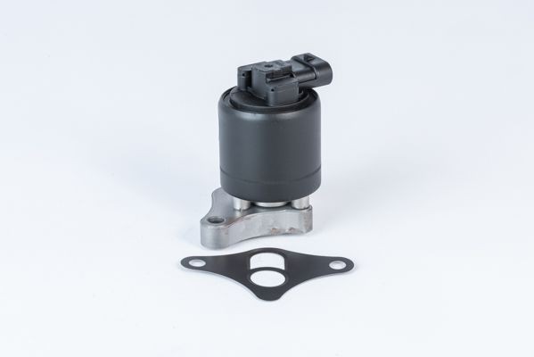 WAHLER 710961R: Supapă EGR cu garnituri