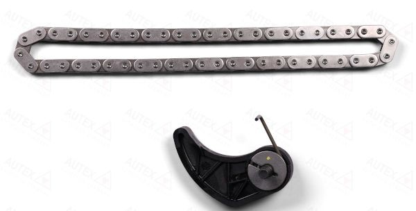 AUTEX 711376: Set lant, antrenare pompa ulei
