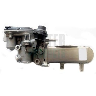 HOFFER 7518299: EGR-klapp