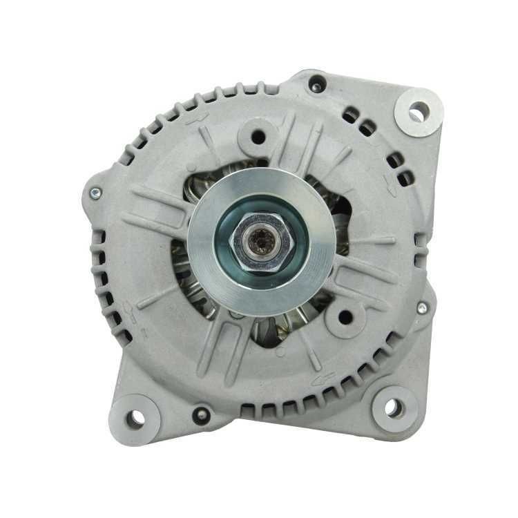 BV PSH 815.506.100.010: Laturi 100A