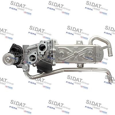 FISPA 83.1011: Modulo EGR