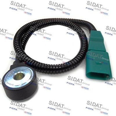 FISPA 83.3105: Bankesensor