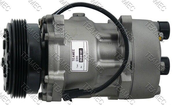 TEAMEC 8600101: Compresor AC