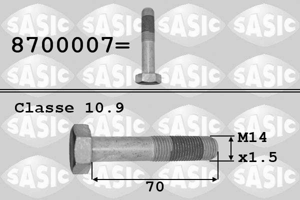 SASIC 8700007: Skriemulio varžtas