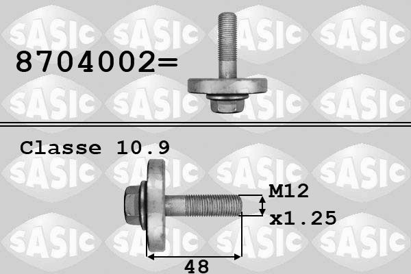 SASIC 8704002: Rihmarattakruvi