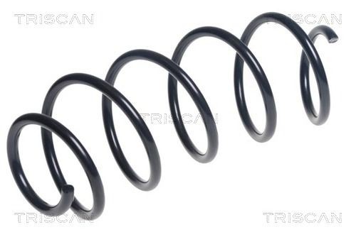 TRISCAN 8750 28256: Arc spiral punte fata