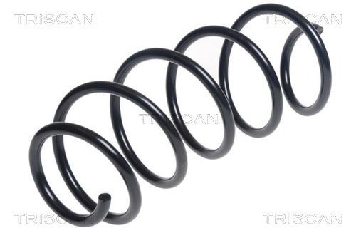 TRISCAN 8750 28257: Arc spiral punte fata