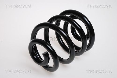 TRISCAN 8750 29380: Arc spiral puntea spate