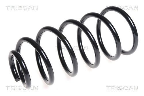 TRISCAN 8750 29381: Arc spiral punte fata