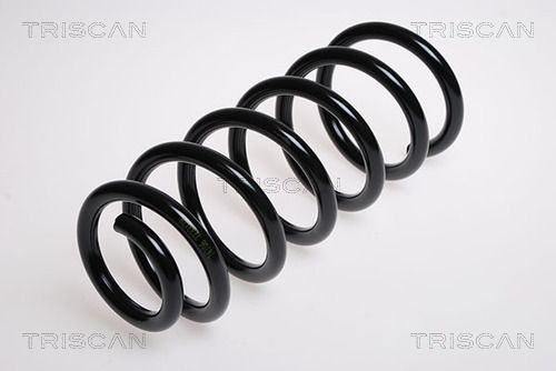 TRISCAN 8750 29383: Arc spiral puntea spate