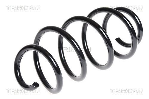 TRISCAN 8750 29384: Arc spiral punte fata