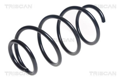 TRISCAN 8750 43122: Arc spiral punte fata