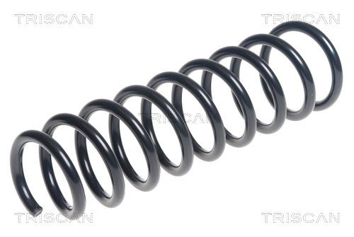 TRISCAN 8750 43125: Arc spiral puntea spate