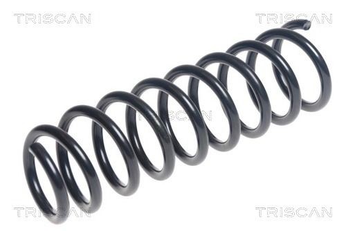 TRISCAN 8750 43126: Arc spiral puntea spate
