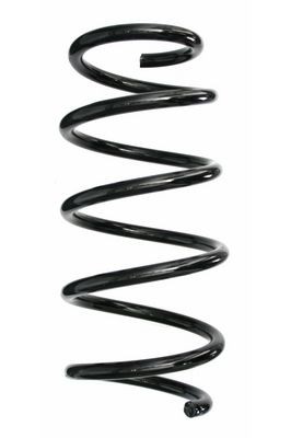 SPIDAN 87509: Spiralfjäder framaxel