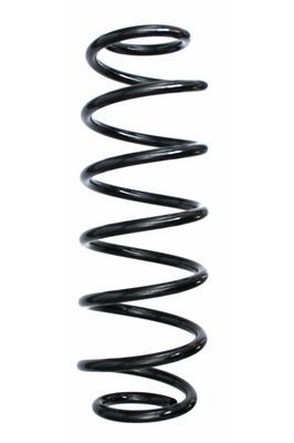 SPIDAN 87556: Arc spiral puntea spate